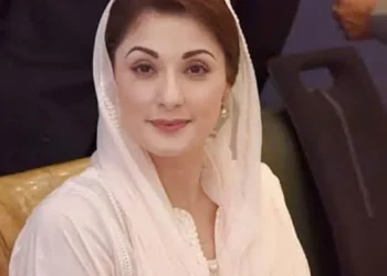 اداروں سے درخواست ہے جو زیادہ ڈرائے اسی کے حق میں فیصلہ نہ کریں: مریم نواز