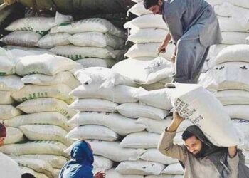 وزیراعظم کا آٹے کی قیمتوں میں اضافے کا نوٹس، رپورٹ طلب کرلی۔