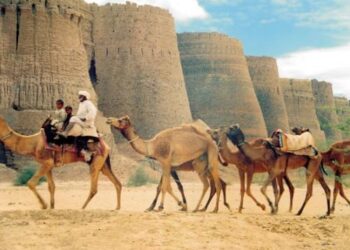 آرمی چیف کی ہدایت پر چولستان میں خشک سالی سے متعلق امدادی کیمپ کا قیام۔