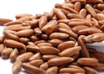 بلوچستان کے چلغوزوں کے جنگلات میں لگی أگ پر قابو نہیں پایا جا سکا۔