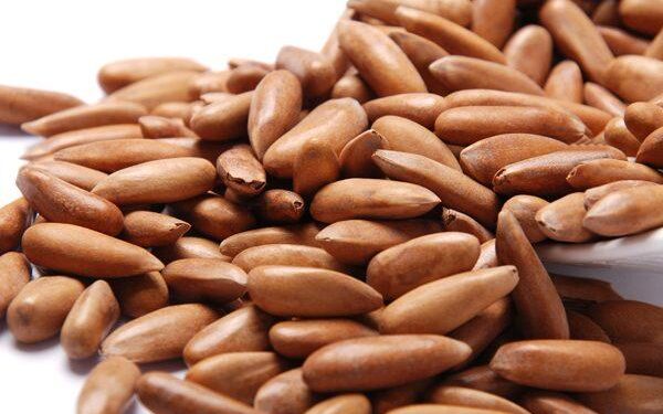 بلوچستان کے چلغوزوں کے جنگلات میں لگی أگ پر قابو نہیں پایا جا سکا۔