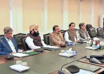 حقیقی آزادی مارچ وفاق پر مسلح حملہ اور بغاوت تھا: وزیر داخلہ کی کمیٹی کو بریفنگ