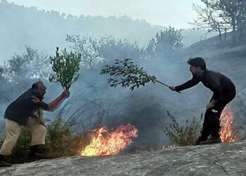 مالاکنڈ کے پہاڑوں پر جنگلات میں آگ لگ گئی