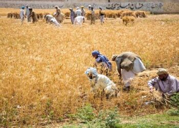 پی اے آرسی کسانوں کو جدید زراعت سے روشناس کرانے میں اہم کردار ادا کر رہا ہے