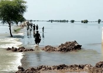 سیلاب سے 1208 افراد جاں بحق 6082 زخمی ہوئے