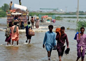 لاکھوں  پاکستانی سیلاب متاثرین کو غذائی بحران کا سامناہے،اقوام متحدہ