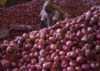 کوئٹہ میں پیاز کی قیمت ڈالر کی قیمت سے بڑھ گئی