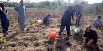 ملک میں موسم بہار کی شجر کاری مہم کا آغاز ہو گیا