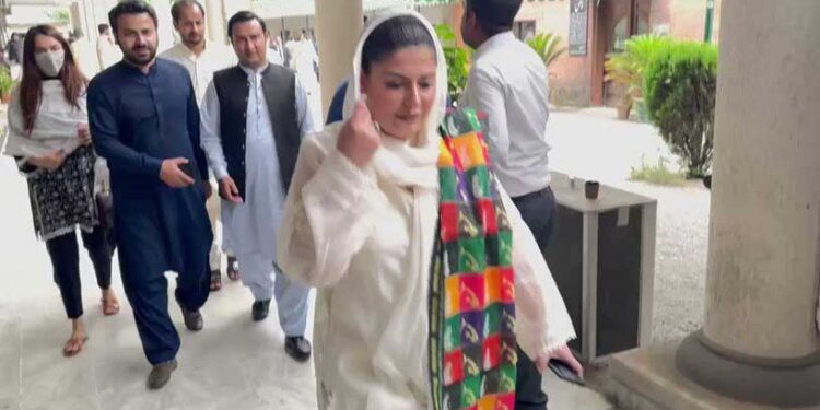 چیف جسٹس صاحب آپ دیکھیں ملک میں کیا چل رہا ہے؟حبا فوادکا چیف جسٹس سے مطالبہ