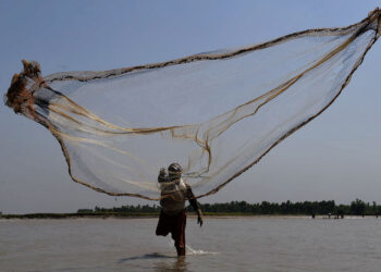 ہرن مینار کے تالاب سے شکاری نے 25 کلو مچھلی پکڑ لی