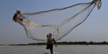 ہرن مینار کے تالاب سے شکاری نے 25 کلو مچھلی پکڑ لی