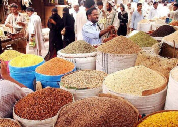 20 اشیاء ضروریہ کی قیمتیں بڑھ گئیں مہنگائی کی شرح 24.39 فیصد ریکارڈ، ادارہ شماریات
