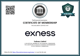 The Ultimate Guide to Trading with www exness
